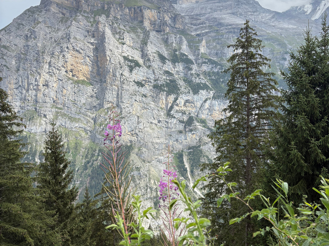 Blumental Panorama Trail-米伦必去景点