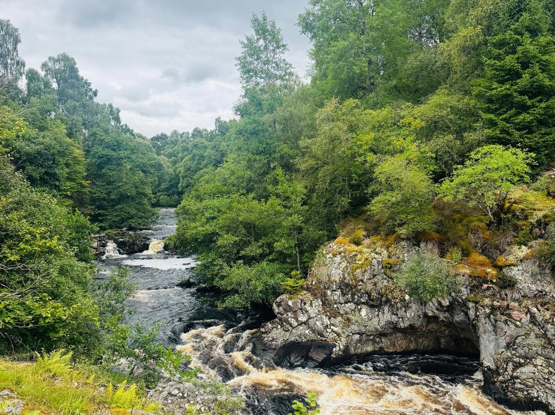 Scotland Taxi Tours-Invergordon必去景点