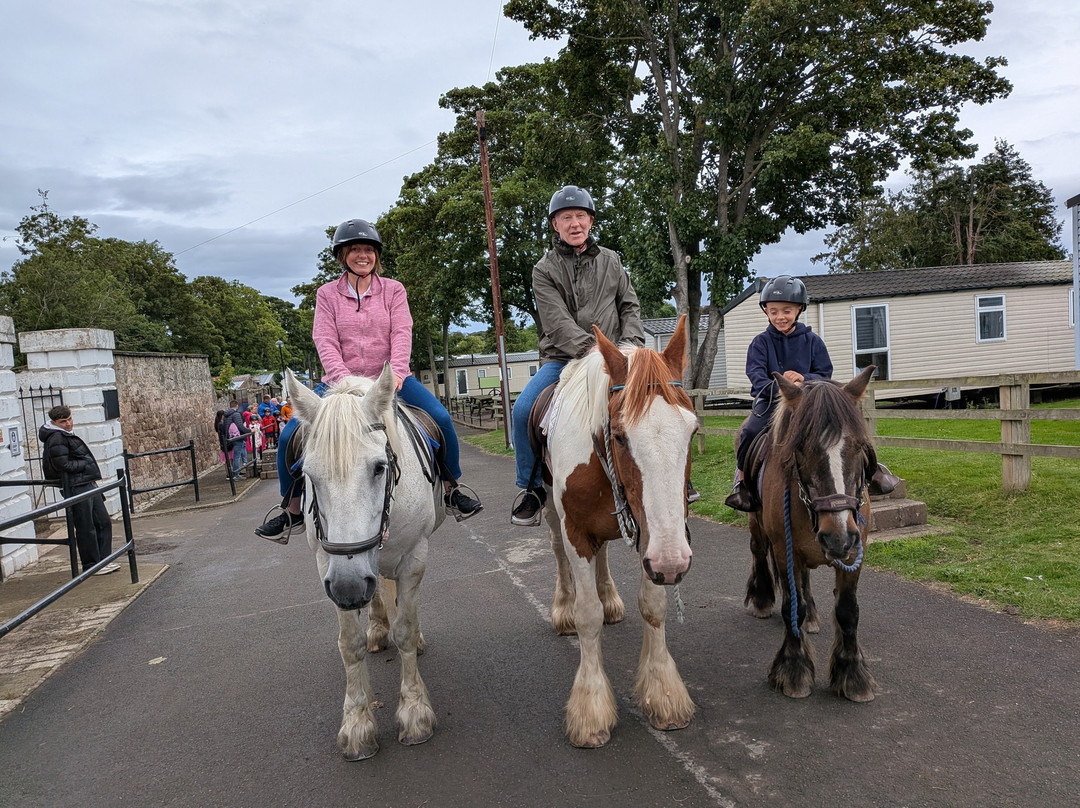 Haggerston Riding Centre-Beal必去景点