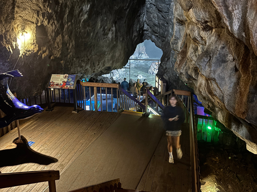 Sea Lion Caves-弗洛伦斯必去景点