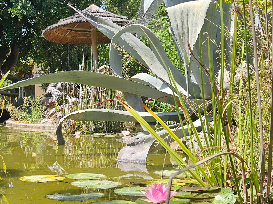 Zoa Parc Animalier et Botanique-滨海萨纳里必去景点