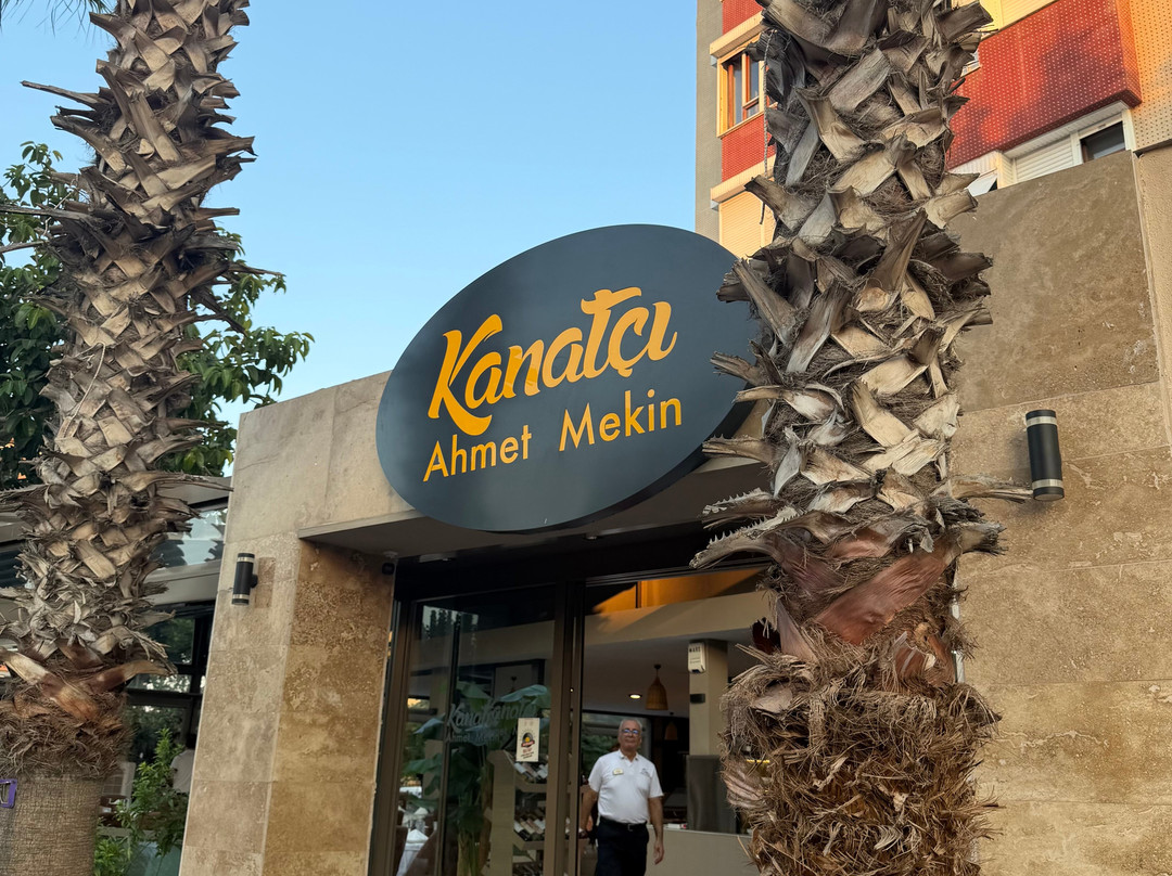 Kanatçı Ahmet Mekin