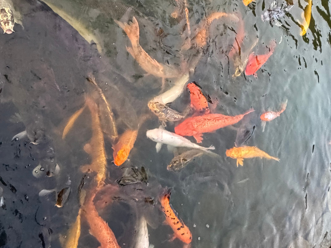 阳朔悦榕庄主图