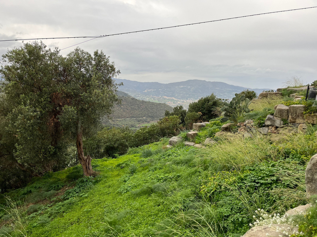 Sito archeologico di Tindari (Patti, Me)-Tindari必去景点