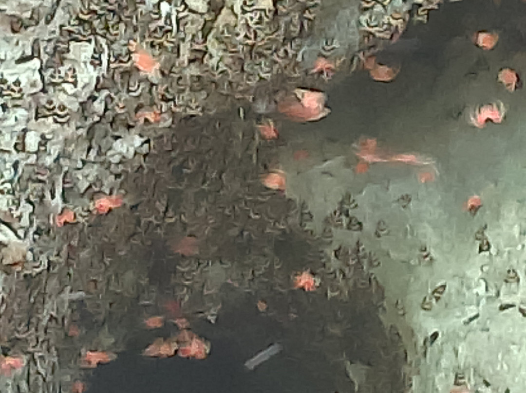 Valley of the Butterflies-Petaloudes必去景点