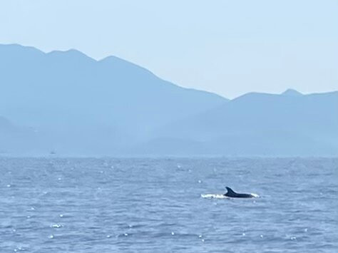 Privilege Speed Boats-Moraitika必去景点