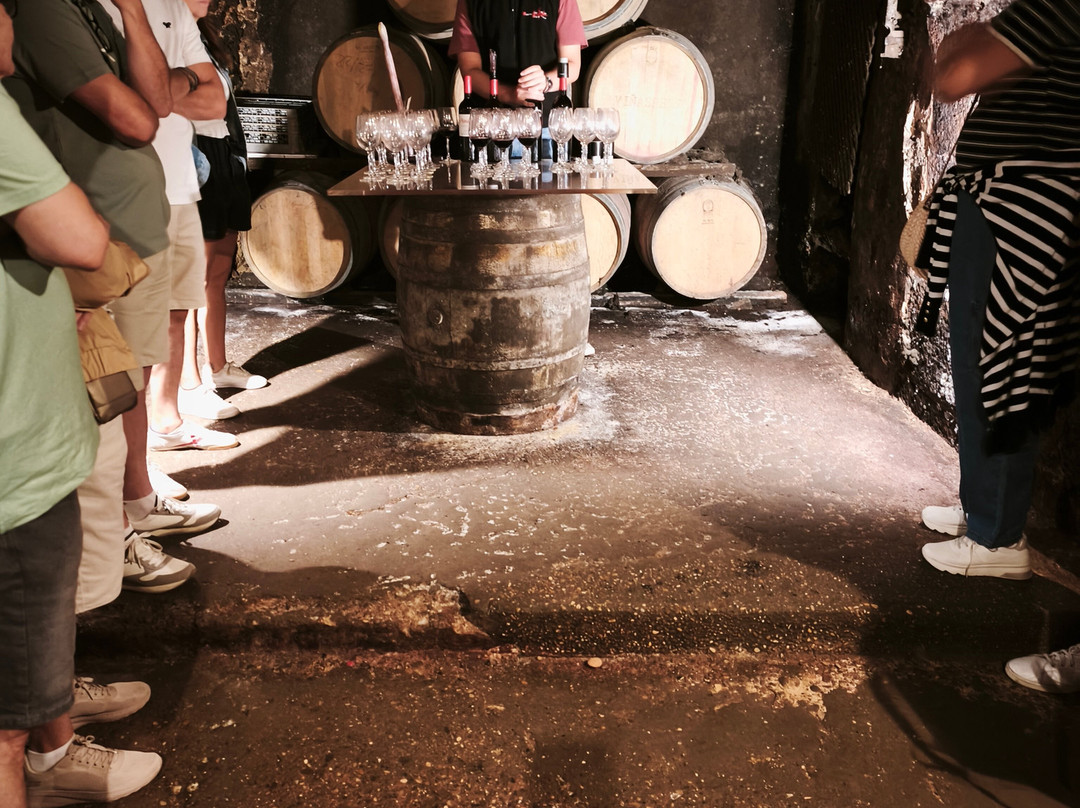 Bodegas Carlos San Pedro Perez de Vinaspre-拉瓜迪亚必去景点
