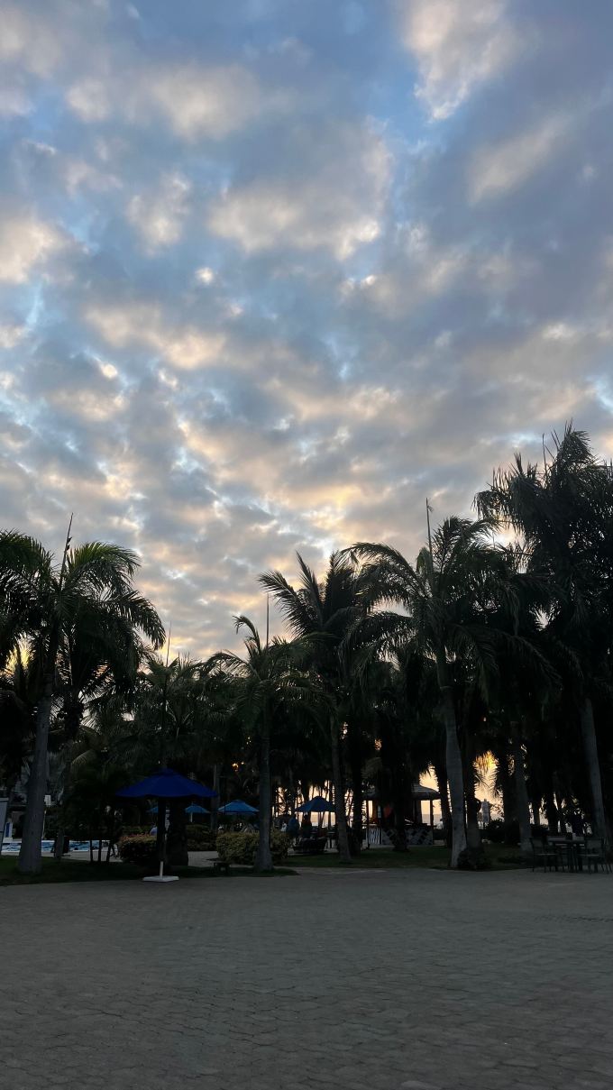 皇家哨兵得可麦仑度假村-泳池
