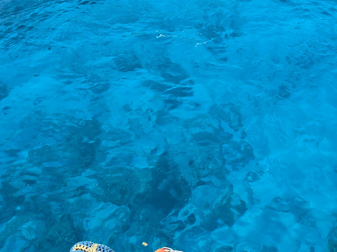 Tiran Island-Tiran Island必去景点