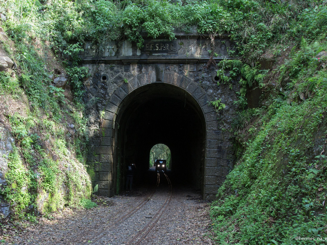 Túnel Ferroviario De Pinheiro Preto-Pinheiro Preto必去景点