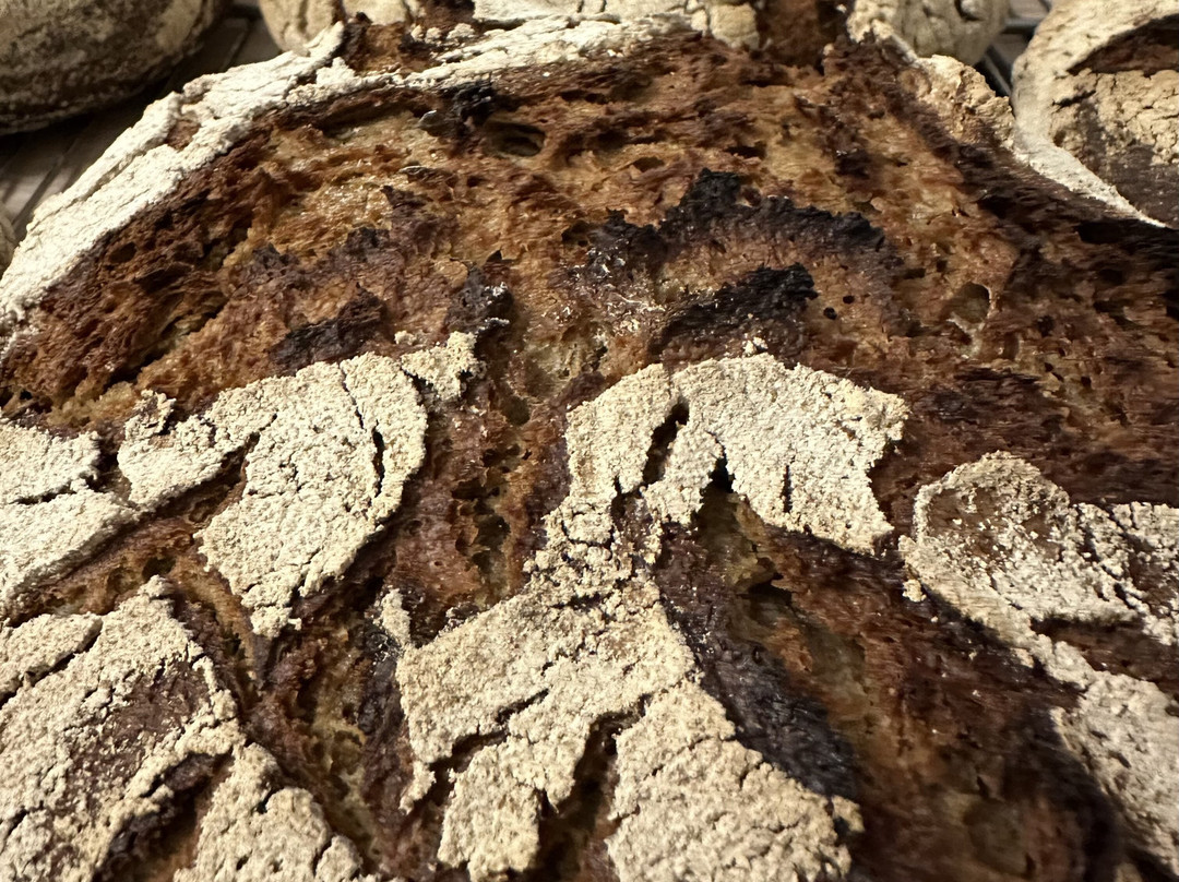 Boulangerie Cacopardo Forbach
