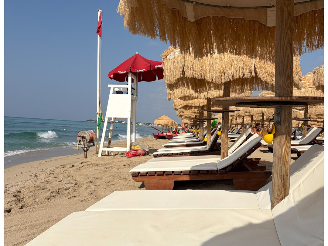 Samanà Beach-Punta Prosciutto必去景点