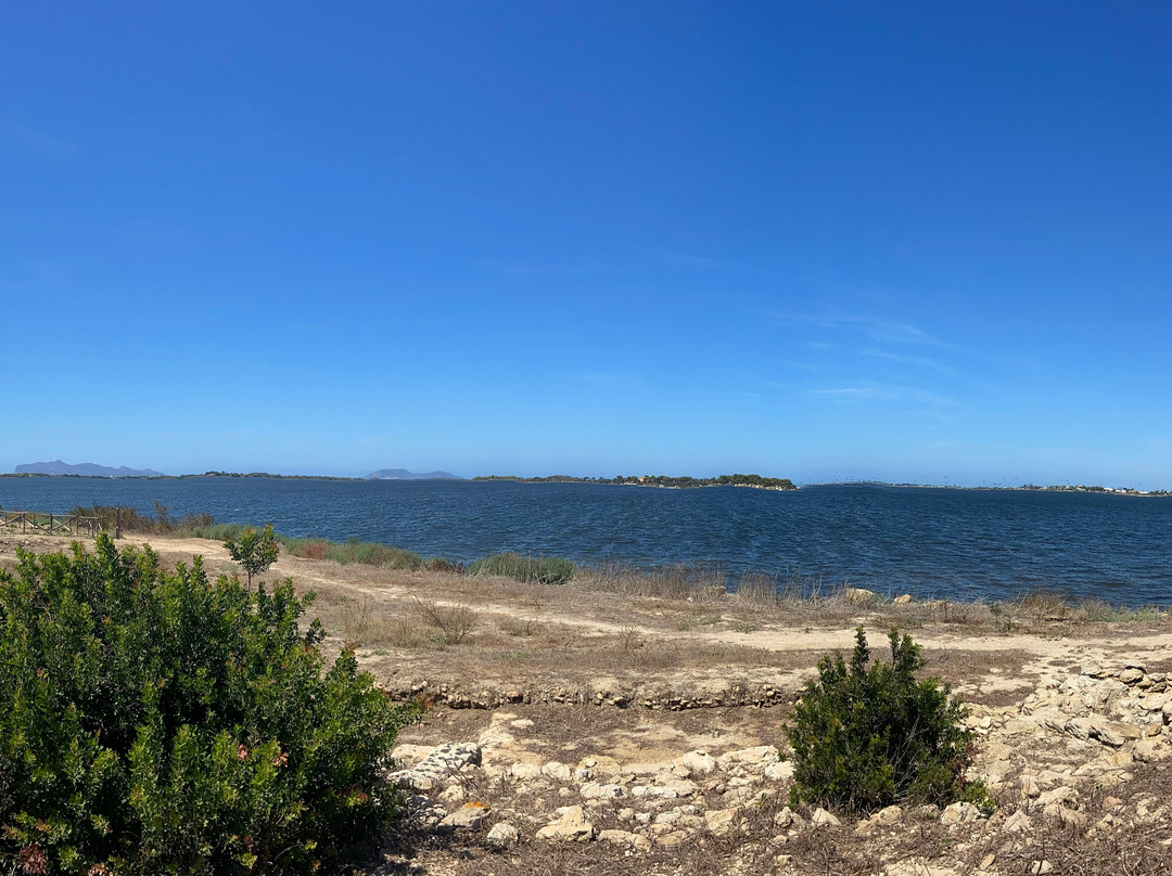 Isola di Mozia (Mothia)/ San Pantaleo-马尔萨拉必去景点