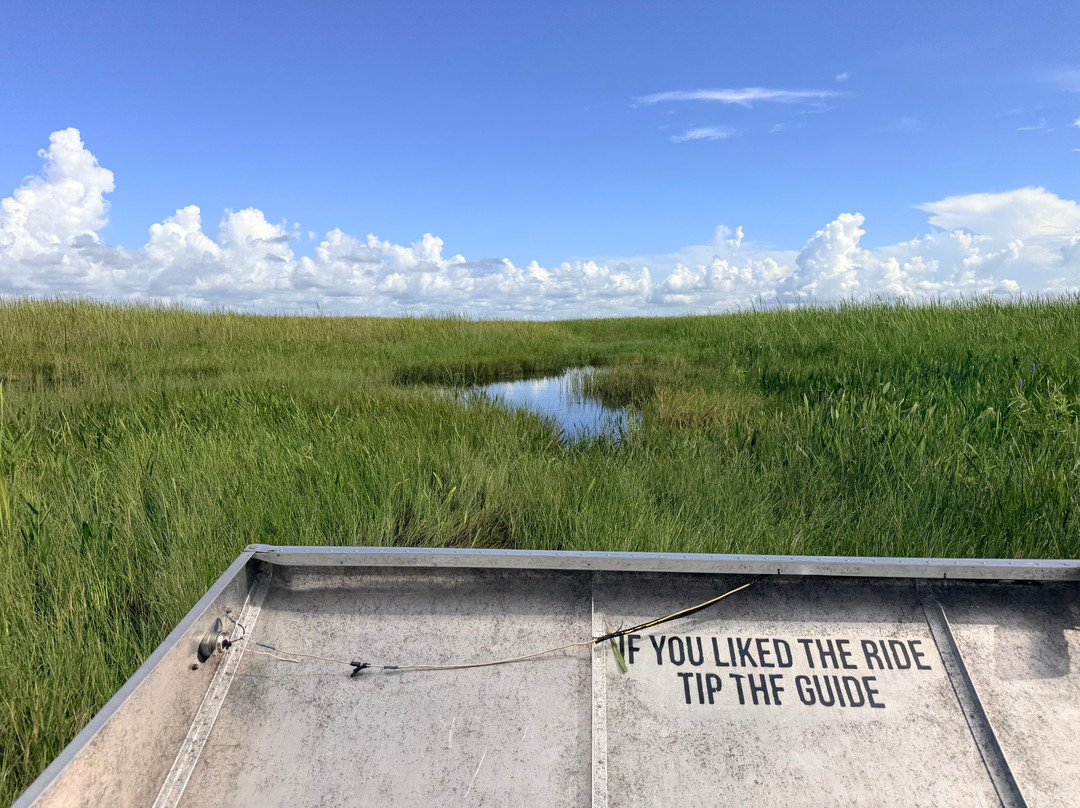 Everglades Swamp Tours-Everglades Wildlife Management Area必去景点