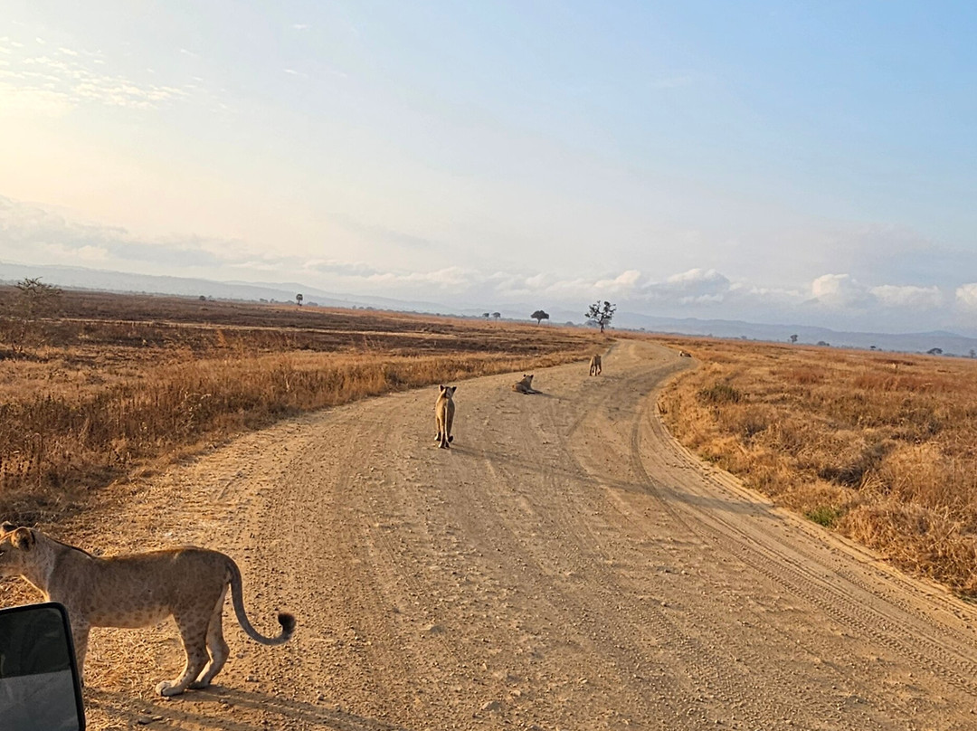 Passionate Safaris-Dar es Salaam必去景点
