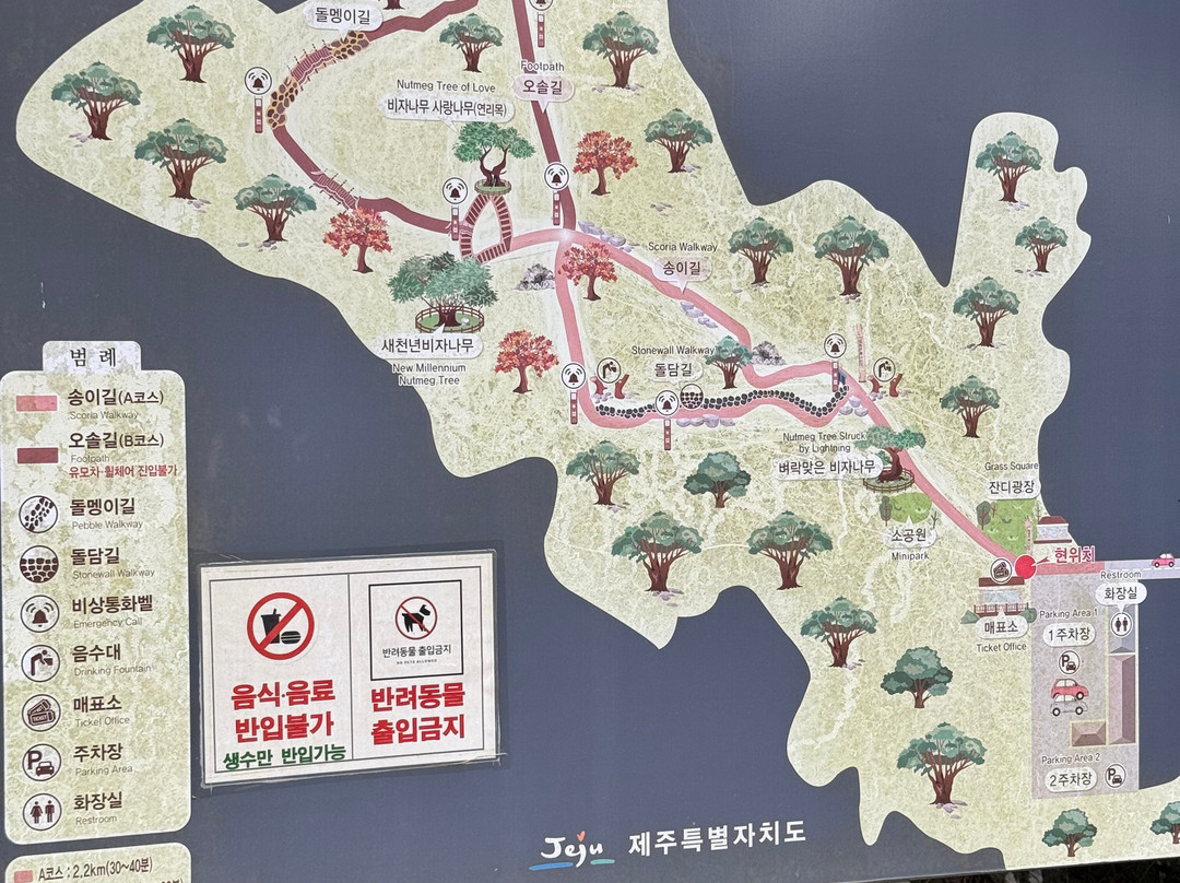 榧子林-济州必去景点