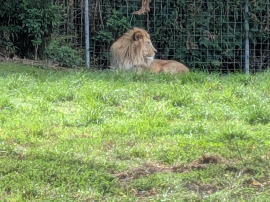 Parc Zoologique Cerza-Hermival-les-Vaux必去景点