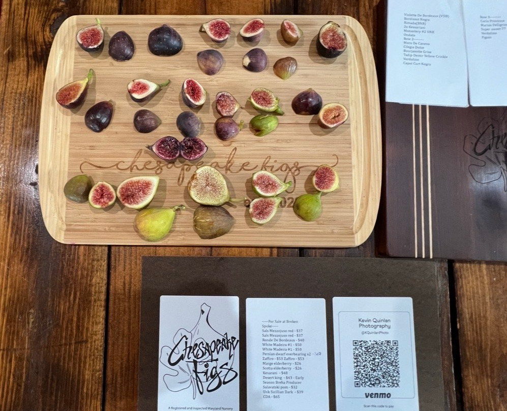 Broken Spoke Vineyard and Winery-Earleville必去景点
