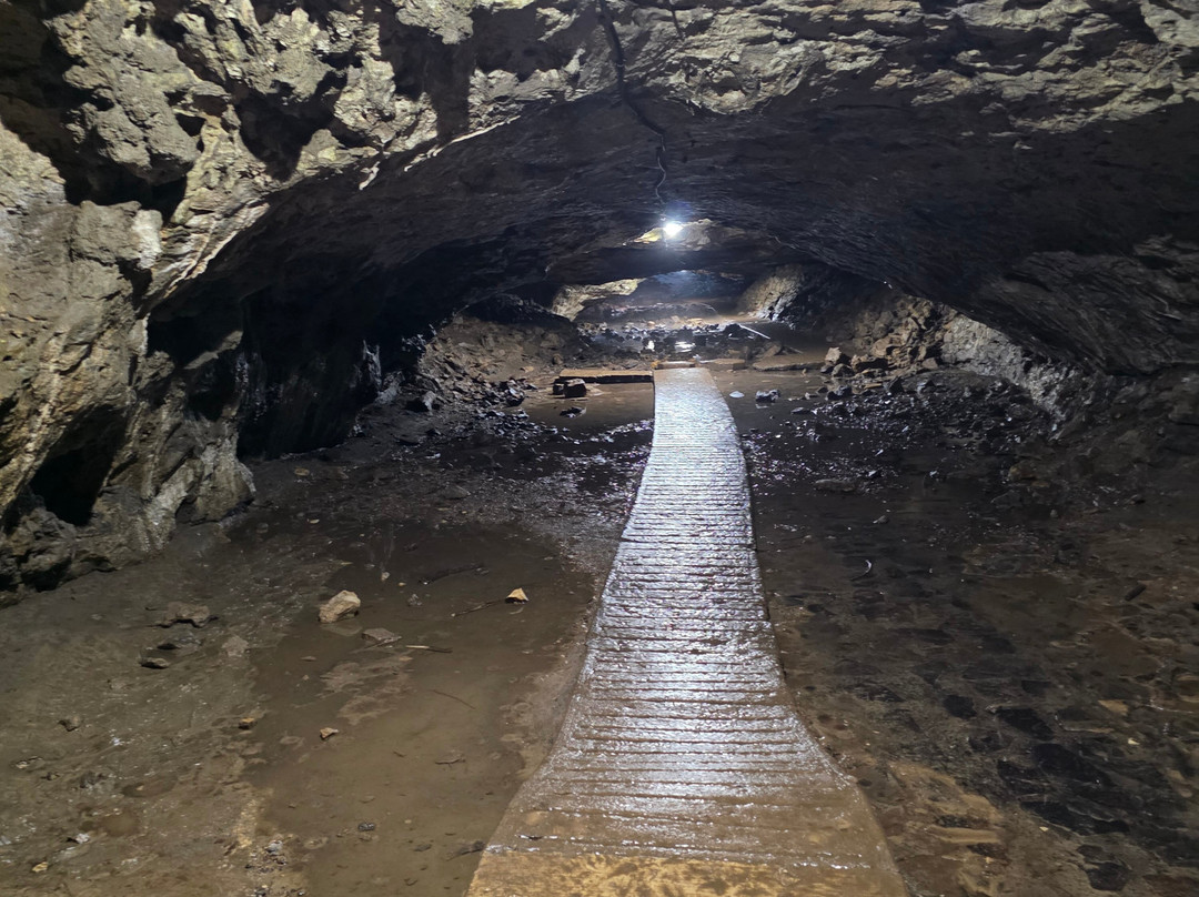 Maquoketa Caves State Park-Maquoketa必去景点