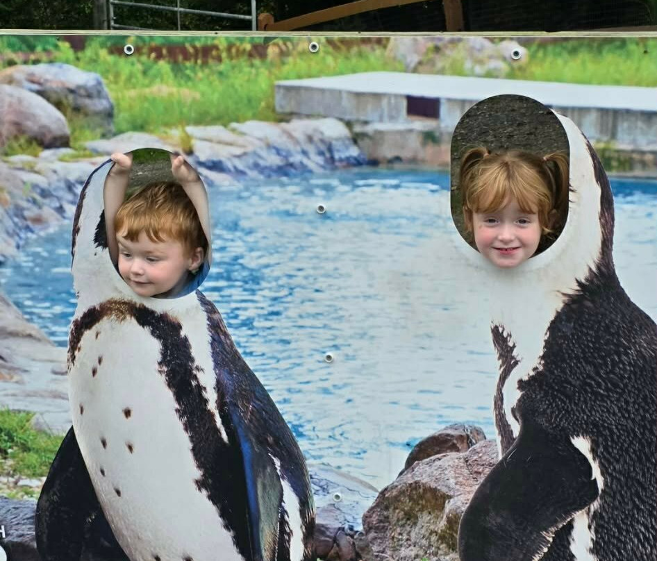 Lehigh Valley Zoo-Schnecksville必去景点