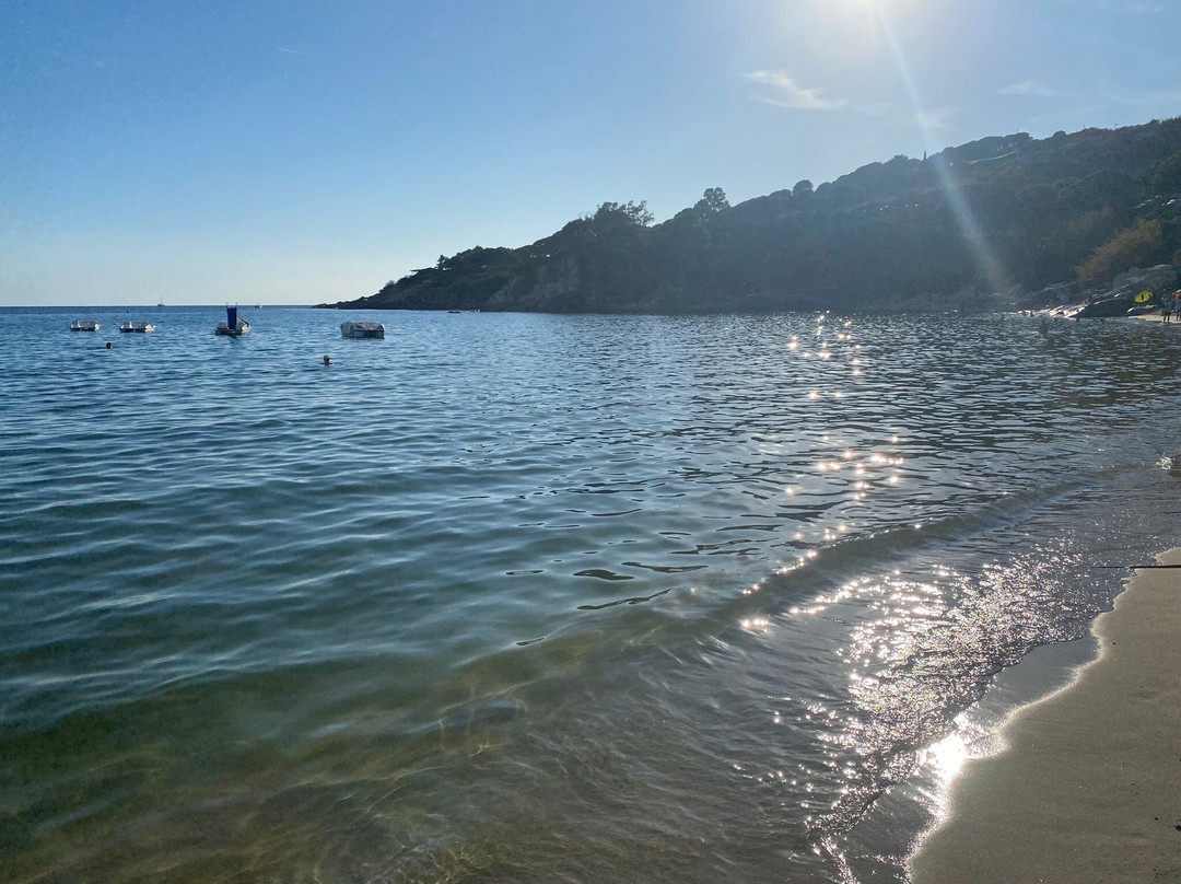 Spiaggia di Cavoli-Marina di Campo必去景点