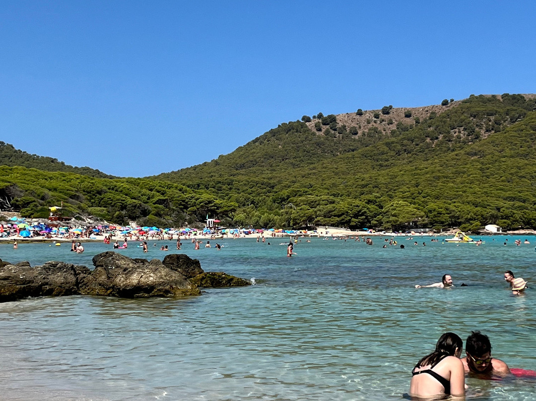 Cala Agulla-Cala Ratjada必去景点