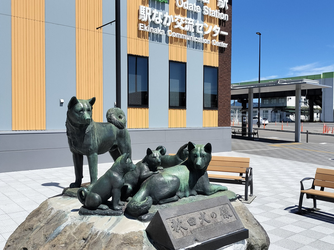 Akita Inu no Sato-大馆市必去景点