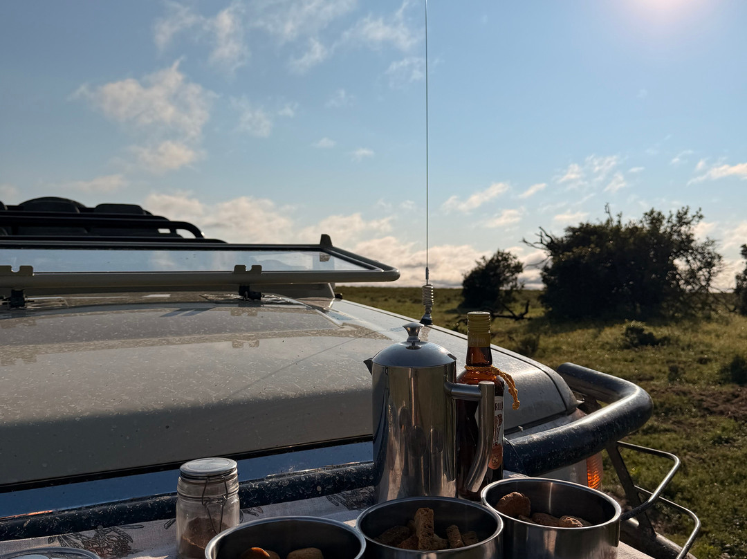 Lalibela Wildlife Reserve Mark's Camp Family Lodge主图