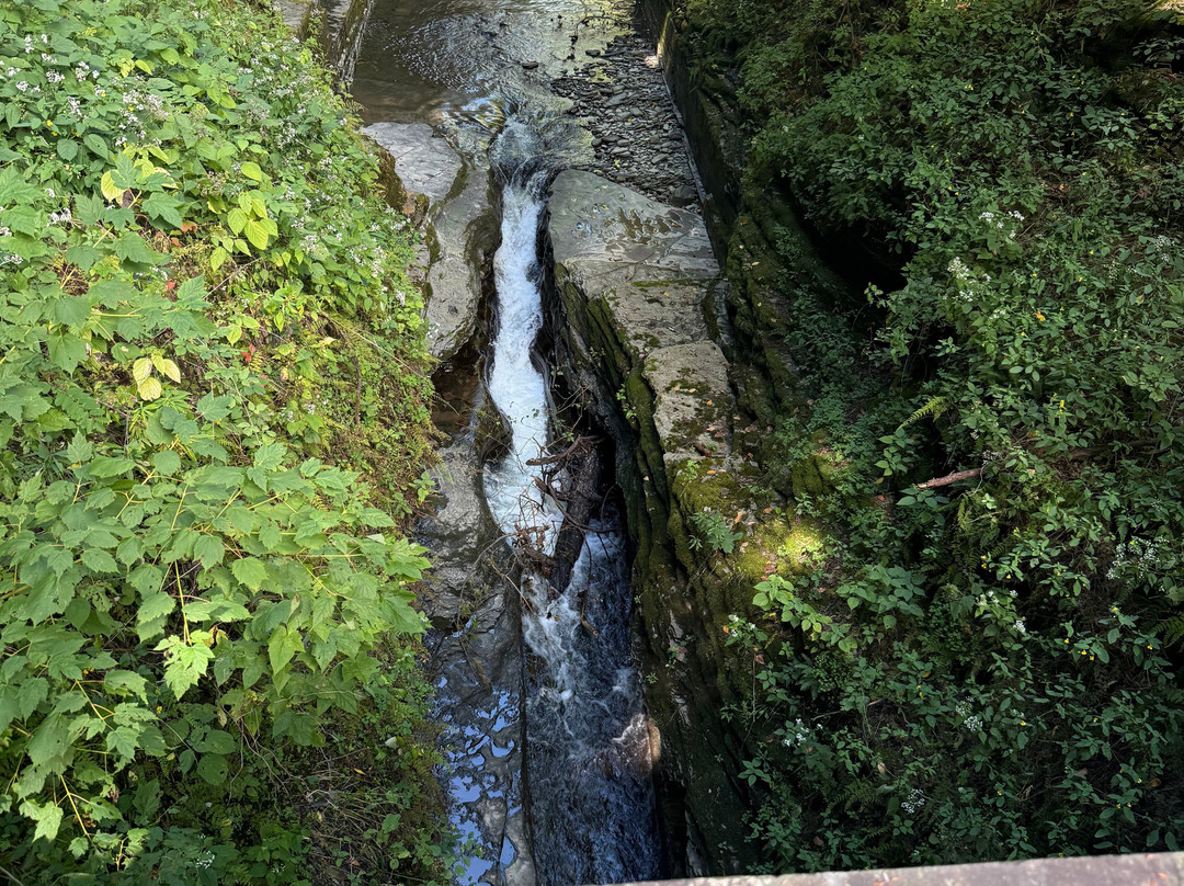 Robert Treman State Park-伊萨卡必去景点