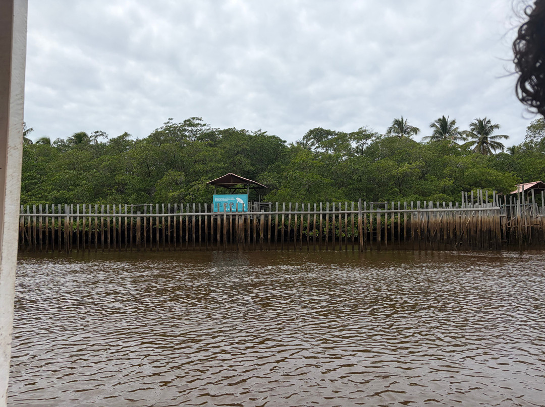 Associacao Peixe-Boi-Porto de Pedras必去景点