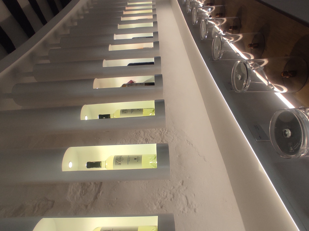 El Grifo - Museo del Vino-San Bartolome必去景点