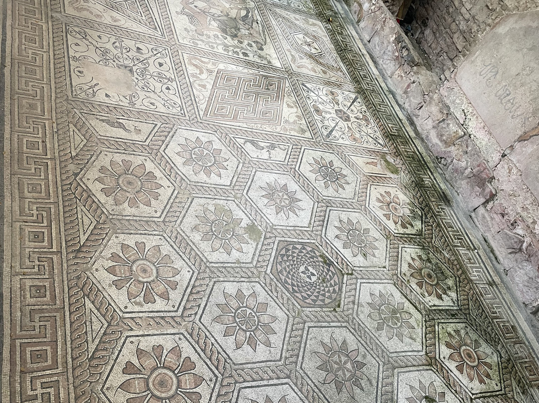 Floor mosaic The Punishment of Dirce-普拉必去景点