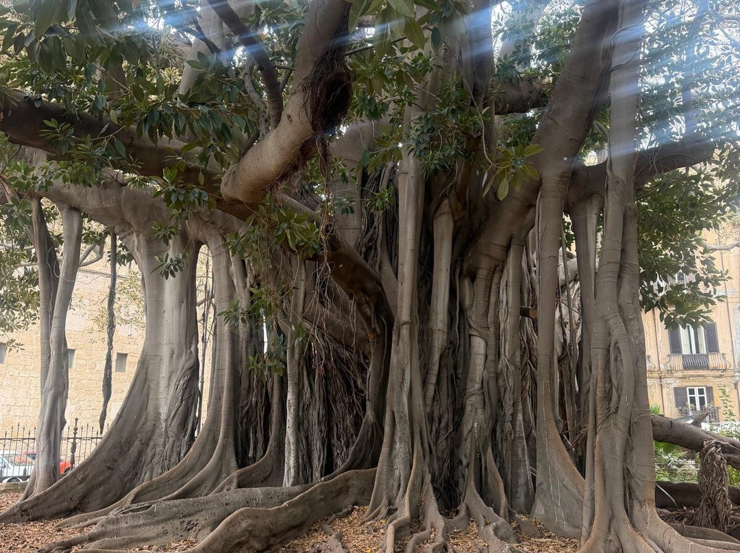 Giardino Garibaldi-巴勒莫必去景点