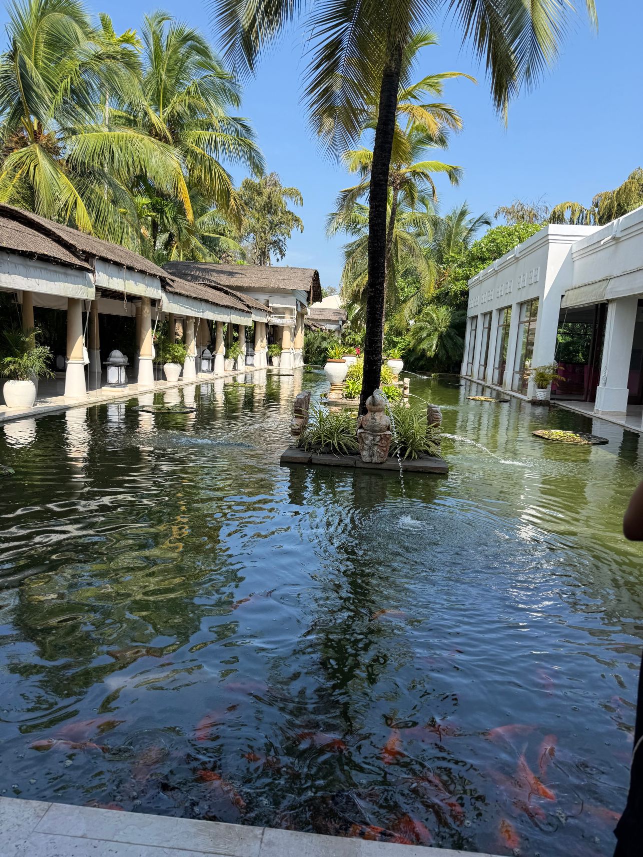 喀拉拉邦泰贝卡Spa度假村-旅行者