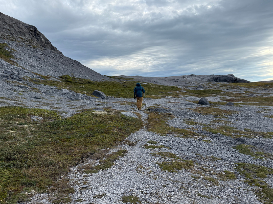 Burnt Cape Ecological Reserve-Raleigh必去景点