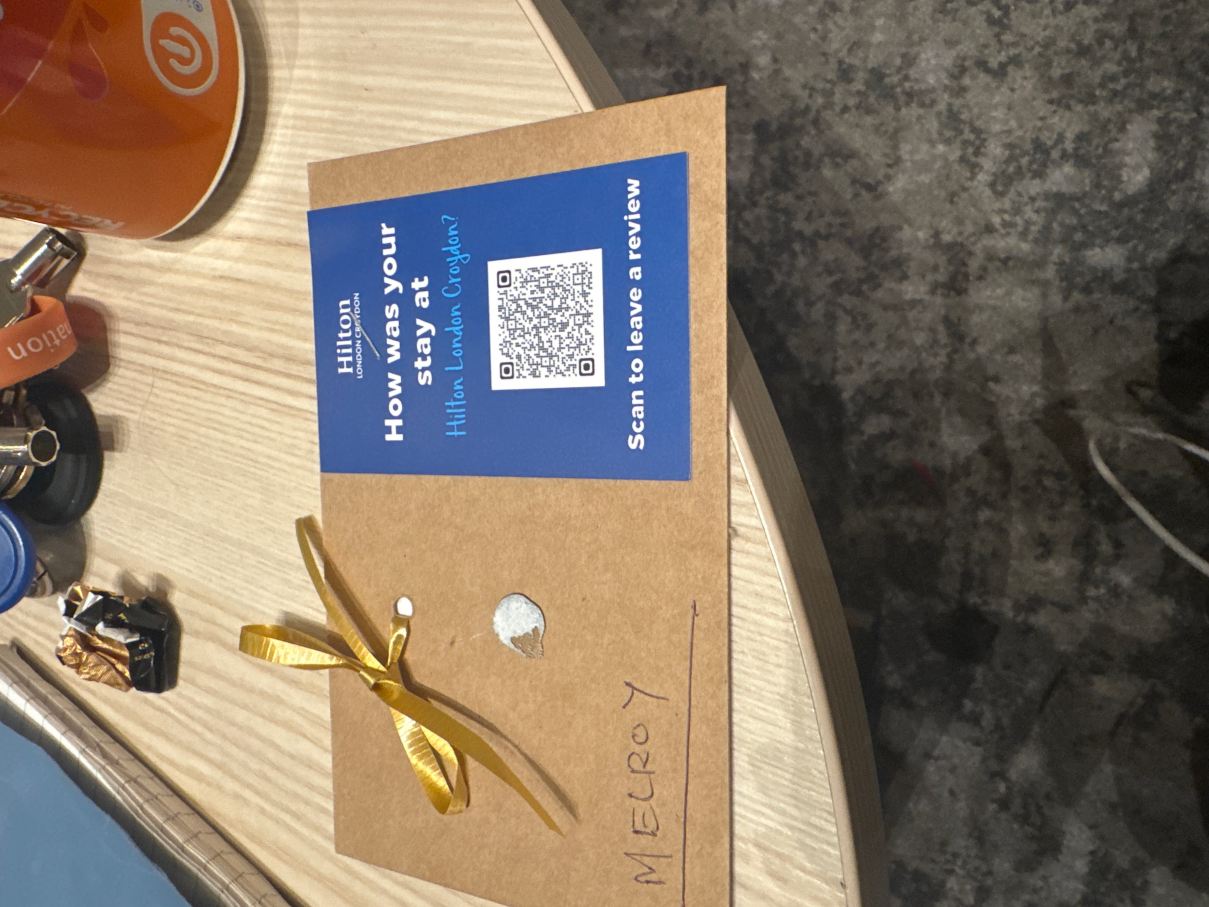 伦敦克罗伊登希尔顿酒店-旅行者
