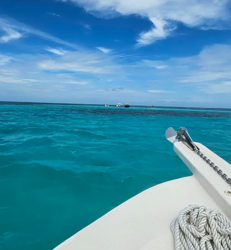 Stingray City-大开曼岛必去景点
