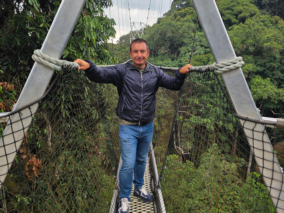 Nyungwe Canopy Walk-Butare必去景点