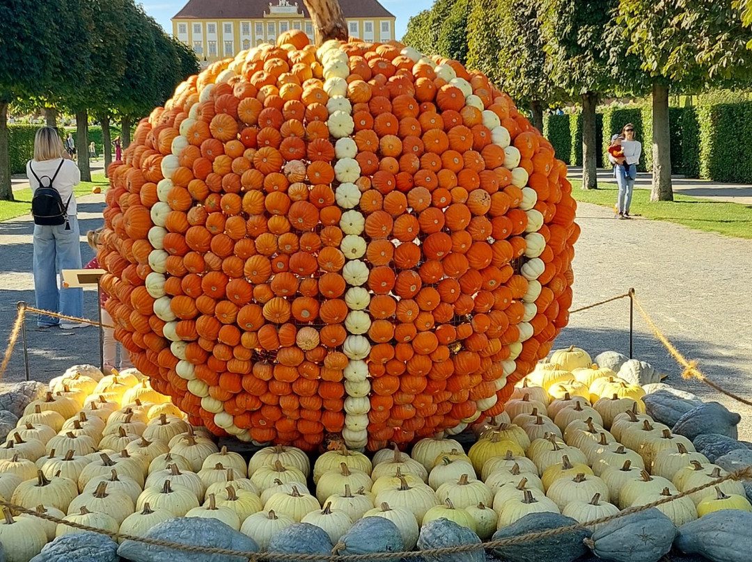 Schloss Hof-Schlosshof必去景点
