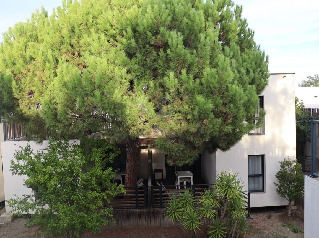 Camping Yelloh! Village Les Petits Camarguais主图