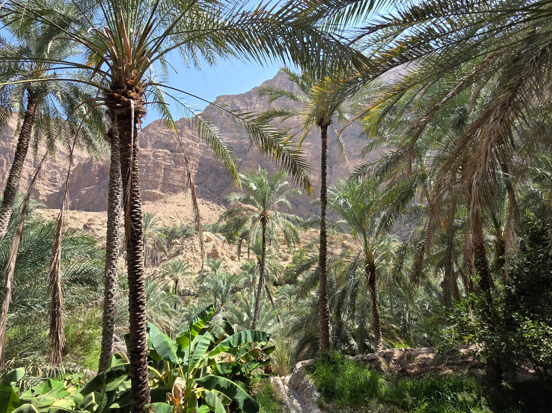 Wadi Tiwi Mibam Adventure-提维必去景点
