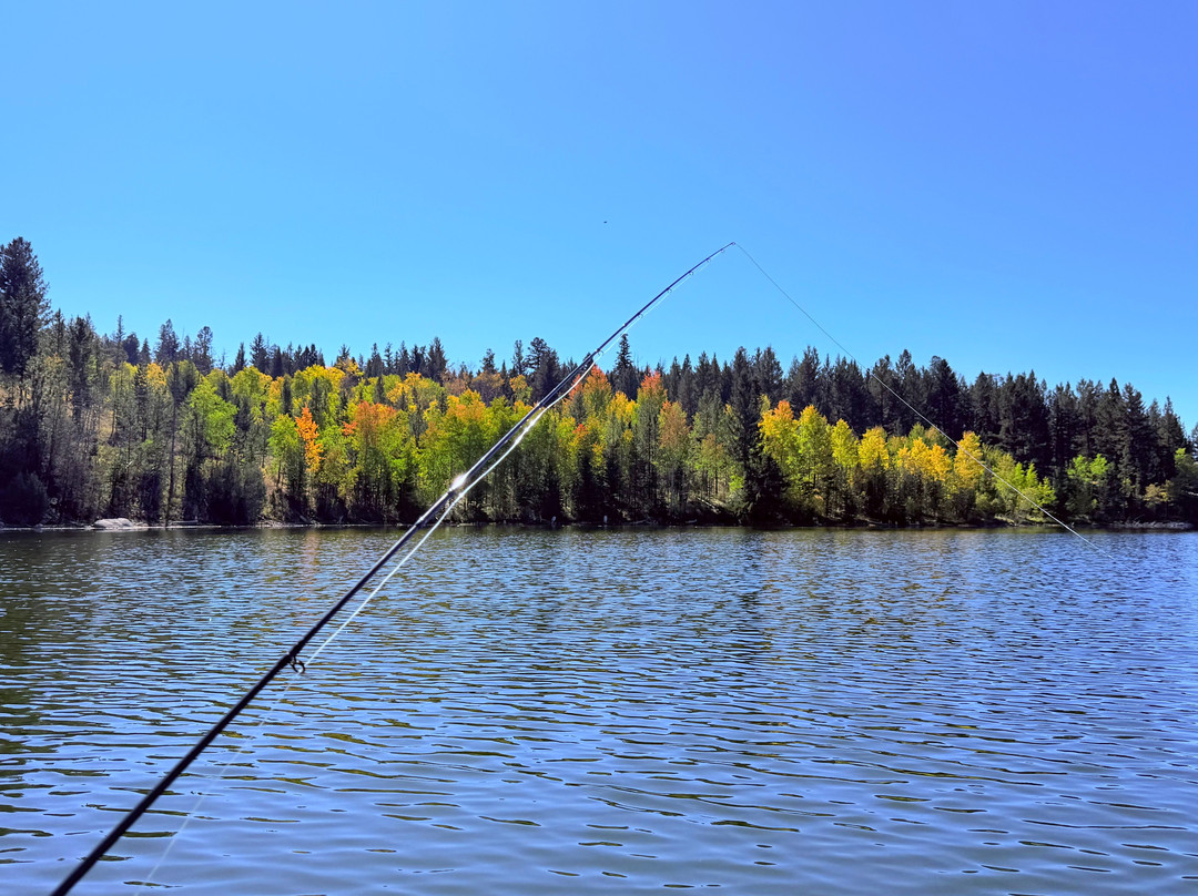 District of Logan Lake Campground and Visitor Centre-Logan Lake必去景点
