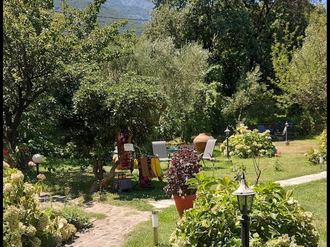 Alekas Studios