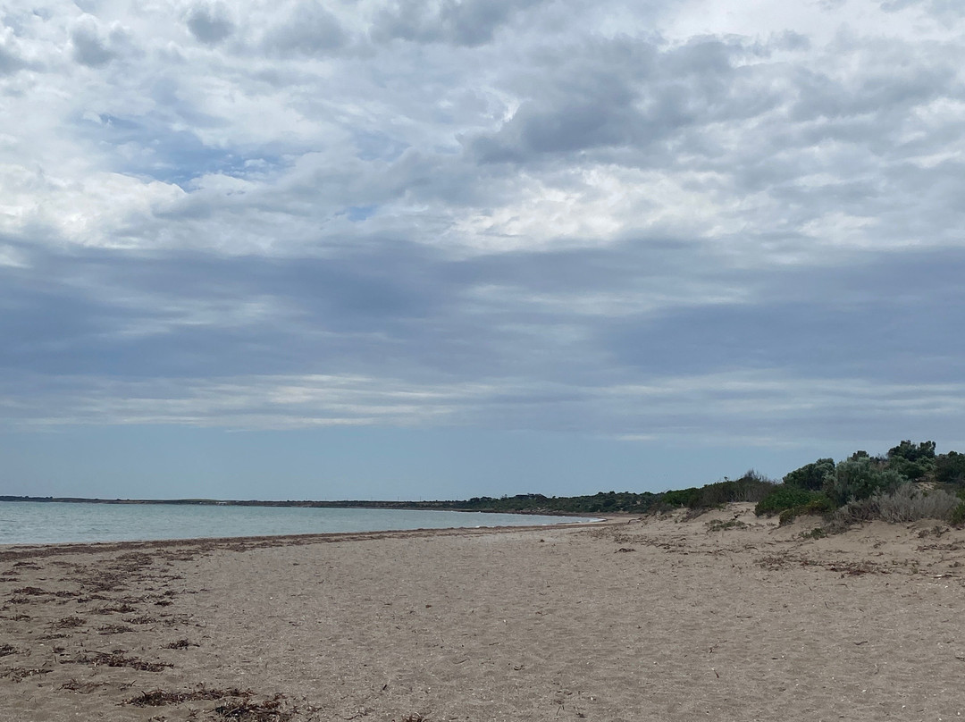 Islands Caravan Park-Streaky Bay必去景点