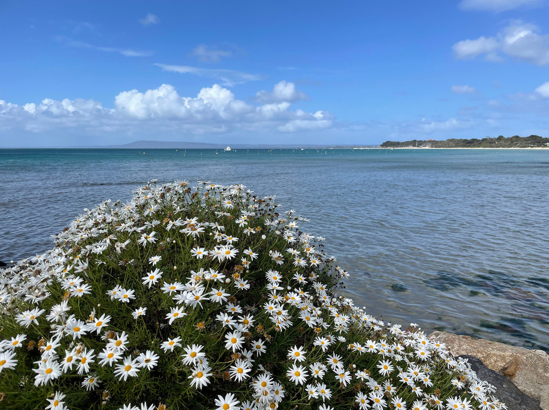 Sorrento Front Beach-索伦托必去景点