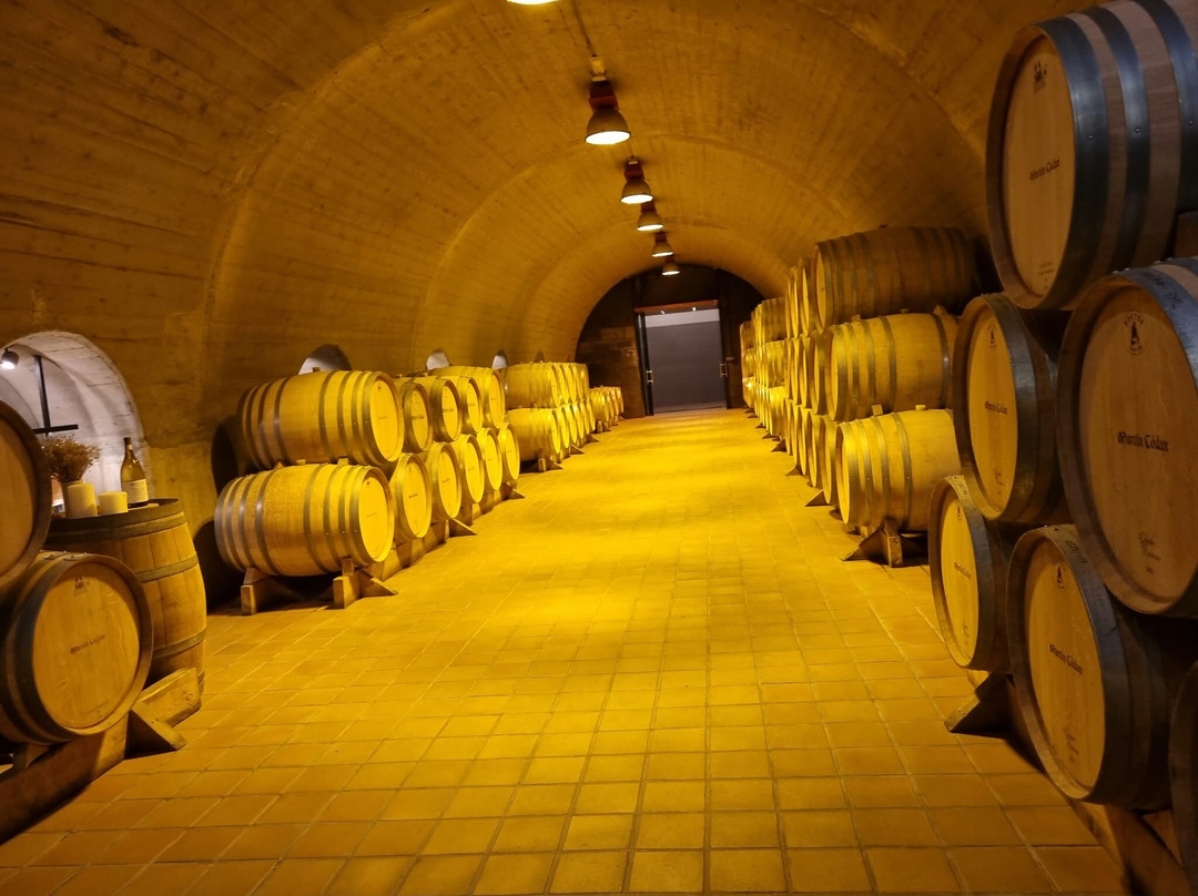 Bodegas Martin Codax-Cambados必去景点