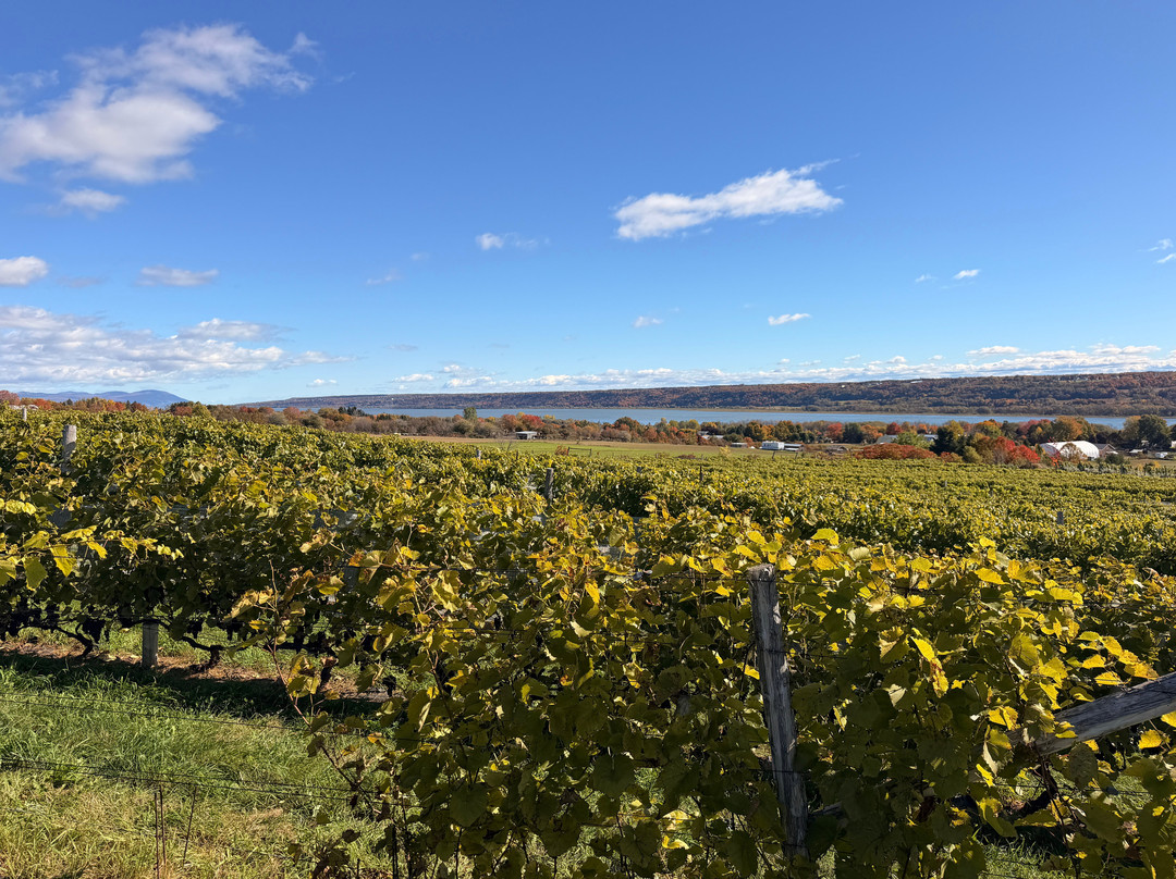 Vignoble Domaine L'Ange Gardien-L'Ange-Gardien必去景点