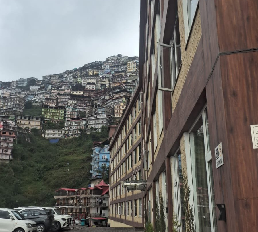 西姆拉兰花酒店主图