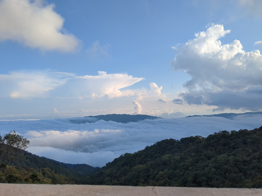 Bà Nà Hills-Hoa Phu必去景点