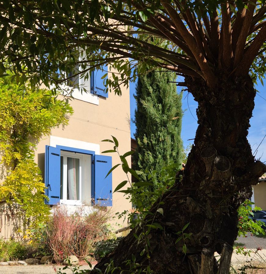 Domaine De Damian-旅行者